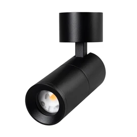 Фото #1 товара Светильник SP-ARTEMIS-SURFACE-FLAP-R55-12W Warm3000 (BK, 8-80 deg, 230V) (Arlight, IP20 Металл, 5 лет)