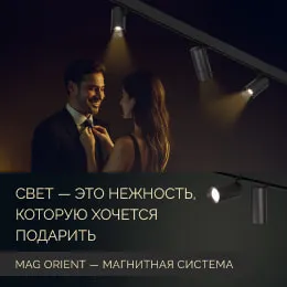 MAG Orient — функциональная магнитная система