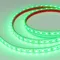Минифото #1 товара Светодиодная лента герметичная RTW-PFS-B60-13mm 12V Green (14.4 W/m, IP68, 5060, 5m) (Arlight, 14.4 Вт/м, IP68)
